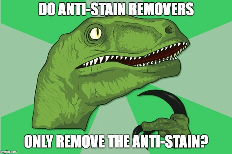 new philosoraptor | DO ANTI-STAIN REMOVERS; ONLY REMOVE THE ANTI-STAIN? | image tagged in new philosoraptor | made w/ Imgflip meme maker