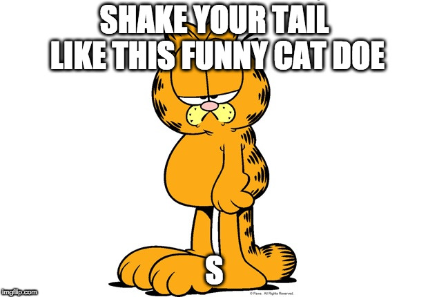 It's monday already? | SHAKE YOUR TAIL LIKE THIS FUNNY CAT DOE; S | image tagged in grumpy garfield,monday | made w/ Imgflip meme maker