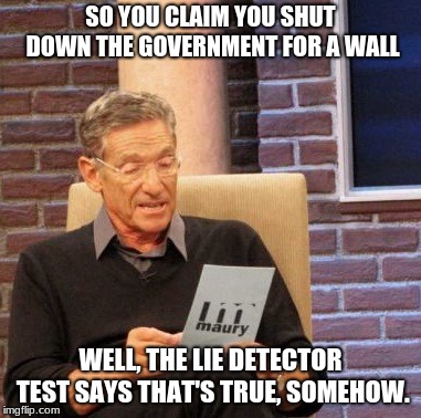 Maury Lie Detector | SO YOU CLAIM YOU SHUT DOWN THE GOVERNMENT FOR A WALL; WELL, THE LIE DETECTOR TEST SAYS THAT'S TRUE, SOMEHOW. | image tagged in memes,maury lie detector | made w/ Imgflip meme maker