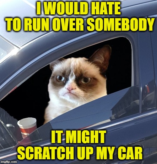 Grumpy cat driver | I WOULD HATE TO RUN OVER SOMEBODY; IT MIGHT SCRATCH UP MY CAR | image tagged in funny memes,grumpy cat,cats,car,memes | made w/ Imgflip meme maker