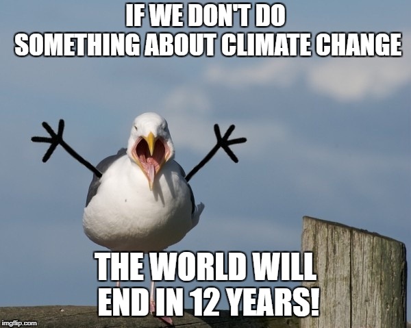 Dramatic Seagull | IF WE DON'T DO SOMETHING ABOUT CLIMATE CHANGE; THE WORLD WILL END IN 12 YEARS! | image tagged in dramatic seagull | made w/ Imgflip meme maker