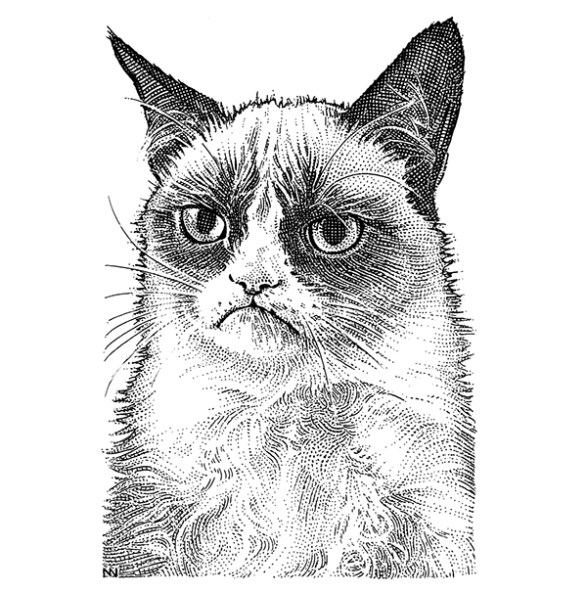 Grumpy Cat stencil Blank Meme Template