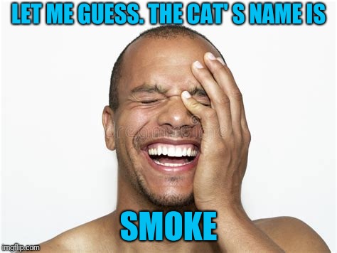 Laughing guy | LET ME GUESS. THE CAT' S NAME IS SMOKE | image tagged in laughing guy | made w/ Imgflip meme maker