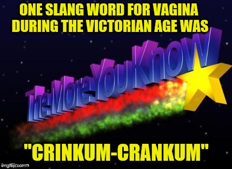 the more you know | ONE SLANG WORD FOR VA**NA DURING THE VICTORIAN AGE WAS "CRINKUM-CRANKUM" | image tagged in the more you know | made w/ Imgflip meme maker