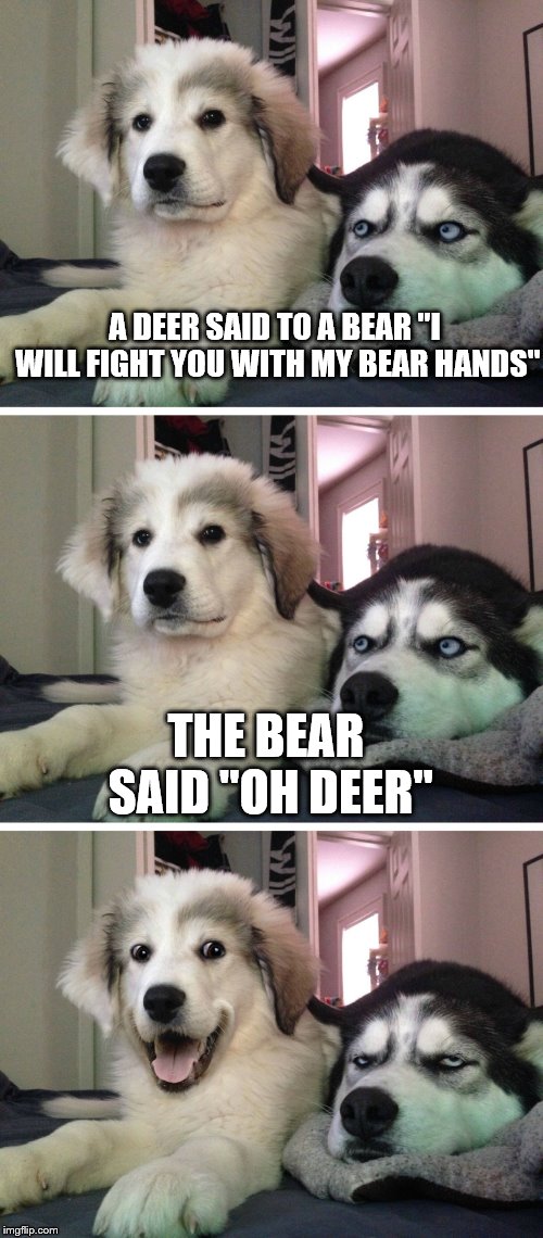 Bad pun dogs | A DEER SAID TO A BEAR "I WILL FIGHT YOU WITH MY BEAR HANDS"; THE BEAR SAID "OH DEER" | image tagged in bad pun dogs,memes,funny,funny meme,puns,bear | made w/ Imgflip meme maker
