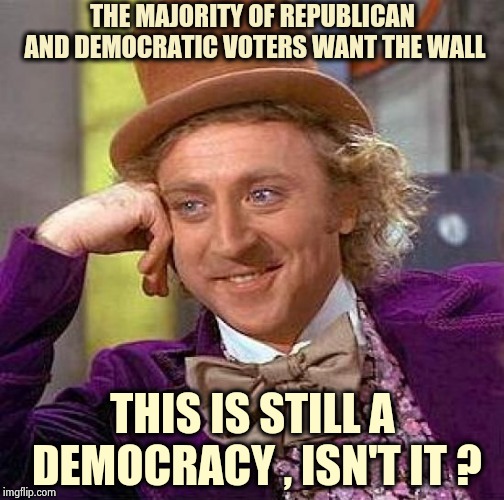It's not "For the Politicians , by the Politicians" | THE MAJORITY OF REPUBLICAN AND DEMOCRATIC VOTERS WANT THE WALL; THIS IS STILL A DEMOCRACY , ISN'T IT ? | image tagged in memes,creepy condescending wonka,democracy,we don't do that here,american revolution | made w/ Imgflip meme maker