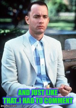 Forest gump | AND JUST LIKE THAT..I HAD TO COMMENT | image tagged in forest gump | made w/ Imgflip meme maker