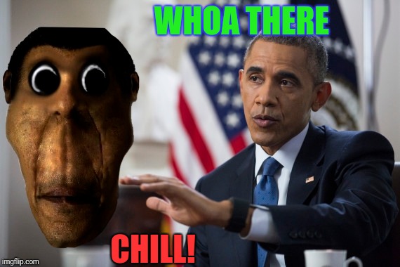 Yeah, Chill! | WHOA THERE; CHILL! | image tagged in memes,funny,barack obama,obama,obunga | made w/ Imgflip meme maker