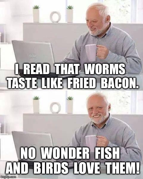 Hide the Pain Harold Meme | I  READ  THAT  WORMS  TASTE  LIKE  FRIED  BACON. NO  WONDER  FISH  AND  BIRDS  LOVE  THEM! | image tagged in memes,hide the pain harold | made w/ Imgflip meme maker