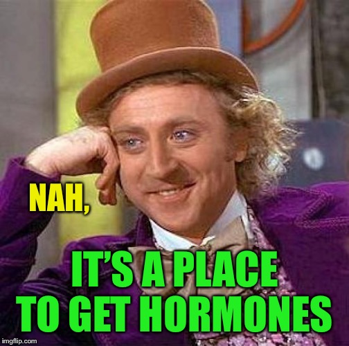 Creepy Condescending Wonka Meme | NAH, IT’S A PLACE TO GET HORMONES | image tagged in memes,creepy condescending wonka | made w/ Imgflip meme maker