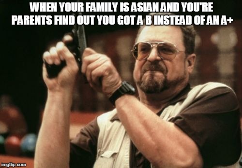 Am I The Only One Around Here Meme | WHEN YOUR FAMILY IS ASIAN AND YOU'RE PARENTS FIND OUT YOU GOT A B INSTEAD OF AN A+ | image tagged in memes,am i the only one around here | made w/ Imgflip meme maker
