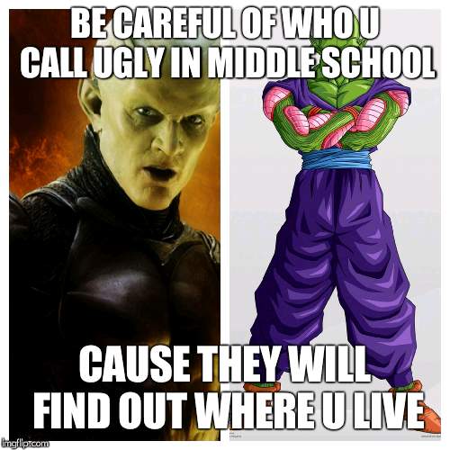 Be careful who you call ugly in middle school | BE CAREFUL OF WHO U CALL UGLY IN MIDDLE SCHOOL; CAUSE THEY WILL FIND OUT WHERE U LIVE | image tagged in be careful who you call ugly in middle school | made w/ Imgflip meme maker