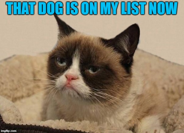 THAT DOG IS ON MY LIST NOW | made w/ Imgflip meme maker