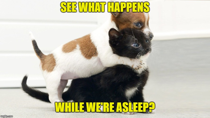 SEE WHAT HAPPENS WHILE WE'RE ASLEEP? | made w/ Imgflip meme maker