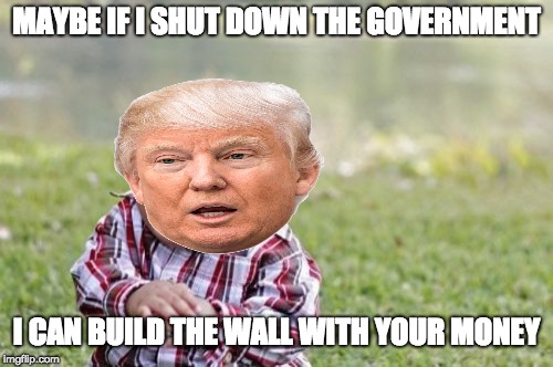 Evil Toddler | MAYBE IF I SHUT DOWN THE GOVERNMENT; I CAN BUILD THE WALL WITH YOUR MONEY | image tagged in memes,evil toddler | made w/ Imgflip meme maker