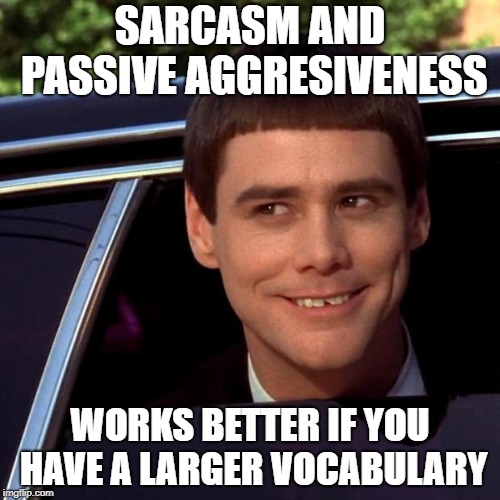 Dumb and Dumber | SARCASM AND PASSIVE AGGRESIVENESS; WORKS BETTER IF YOU HAVE A LARGER VOCABULARY | image tagged in dumb and dumber | made w/ Imgflip meme maker