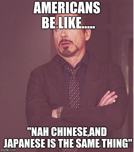 Asians | AMERICANS BE LIKE..... "NAH CHINESE,AND JAPANESE IS THE SAME THING" | image tagged in memes,face you make robert downey jr | made w/ Imgflip meme maker