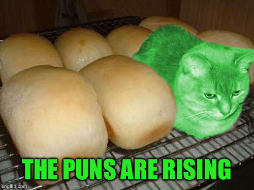 Loaf RayCat | THE PUNS ARE RISING | image tagged in loaf raycat | made w/ Imgflip meme maker