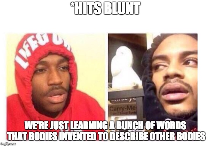 Hits blunt | *HITS BLUNT; WE'RE JUST LEARNING A BUNCH OF WORDS THAT BODIES INVENTED TO DESCRIBE OTHER BODIES | image tagged in hits blunt,medicalschool | made w/ Imgflip meme maker