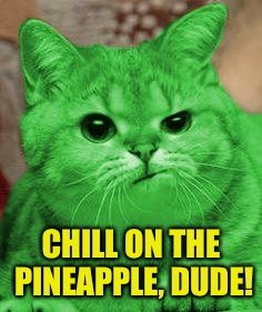 RayCat Annoyed | CHILL ON THE PINEAPPLE, DUDE! | image tagged in raycat annoyed | made w/ Imgflip meme maker