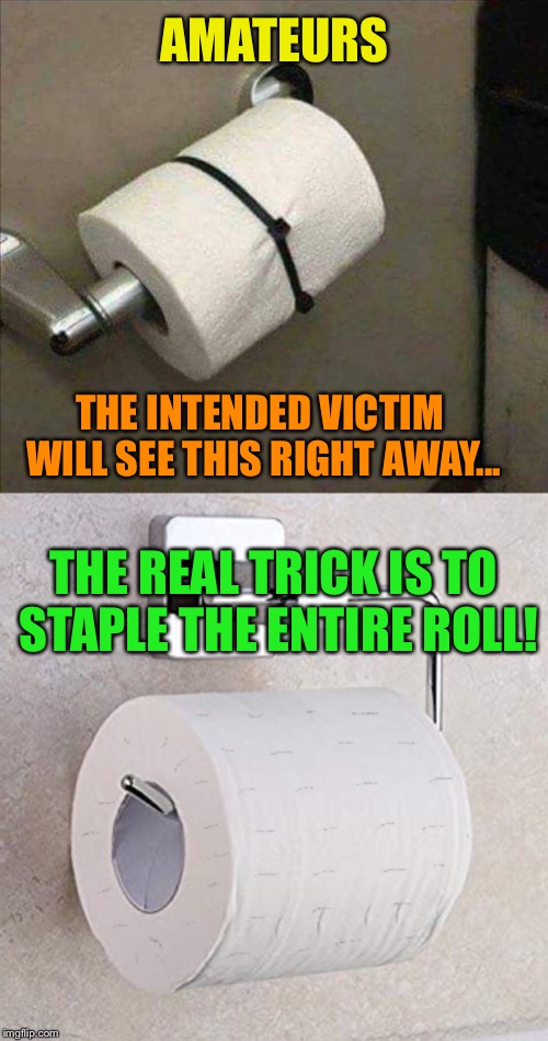 Crapper Trapper | AMATEURS; THE INTENDED VICTIM WILL SEE THIS RIGHT AWAY... THE REAL TRICK IS TO STAPLE THE ENTIRE ROLL! | image tagged in toilet paper,toilet humor,shitty,crappy,impracticaljokers | made w/ Imgflip meme maker