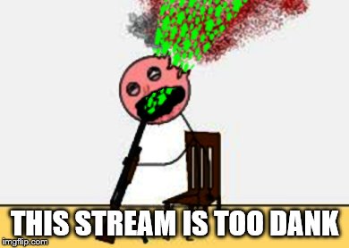 too dank to live with it | THIS STREAM IS TOO DANK | image tagged in too dank to live with it | made w/ Imgflip meme maker