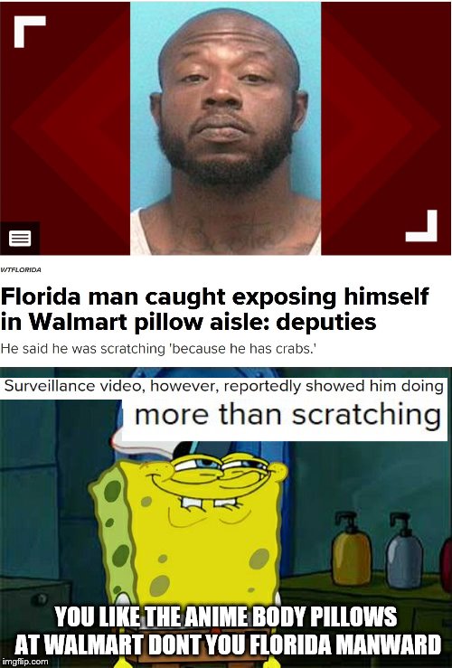 YOU LIKE THE ANIME BODY PILLOWS AT WALMART DONT YOU FLORIDA MANWARD | image tagged in memes,dont you squidward | made w/ Imgflip meme maker