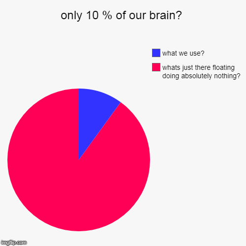 only 10 % of our brain? | whats just there floating doing absolutely nothing? , what we use? | image tagged in funny,pie charts | made w/ Imgflip chart maker