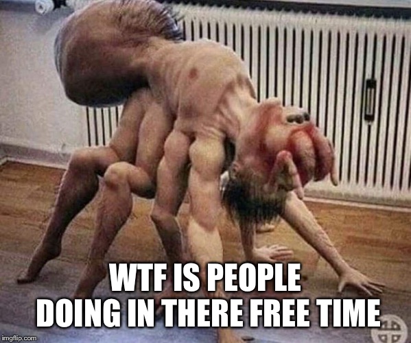 Spiderman in reality lmao | WTF IS PEOPLE DOING IN THERE FREE TIME | image tagged in lmao,spiderman | made w/ Imgflip meme maker