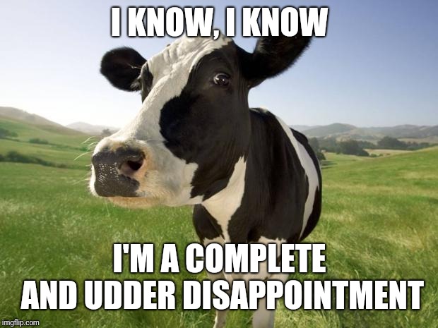 cow | I KNOW, I KNOW I'M A COMPLETE AND UDDER DISAPPOINTMENT | image tagged in cow | made w/ Imgflip meme maker