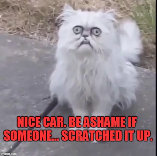 Creepy Cat | NICE CAR. BE ASHAME IF SOMEONE... SCRATCHED IT UP. | image tagged in creepy cat | made w/ Imgflip meme maker
