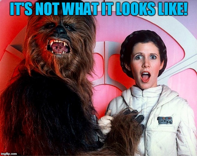 Princess Lea Chewbacca | IT'S NOT WHAT IT LOOKS LIKE! | image tagged in princess lea chewbacca | made w/ Imgflip meme maker
