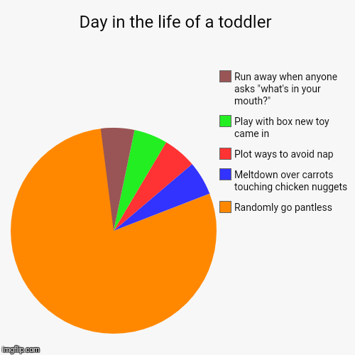 Day in the life of a toddler | Randomly go pantless, Meltdown over carrots touching chicken nuggets, Plot ways to avoid nap, Play with box n | image tagged in funny,pie charts | made w/ Imgflip chart maker