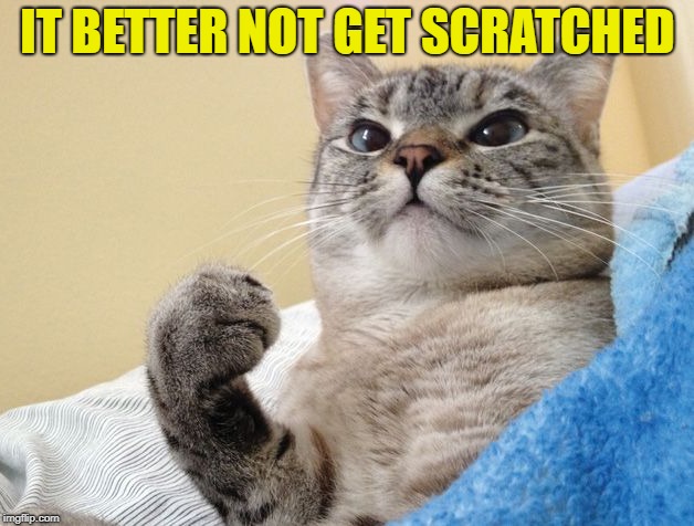 IT BETTER NOT GET SCRATCHED | made w/ Imgflip meme maker