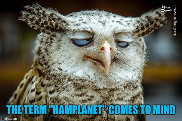 Unwise Owl | THE TERM "HAMPLANET" COMES TO MIND | image tagged in unwise owl | made w/ Imgflip meme maker