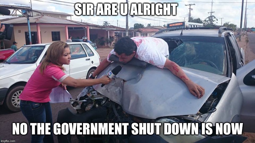 Car Crash Interview | SIR ARE U ALRIGHT; NO THE GOVERNMENT SHUT DOWN IS NOW | image tagged in car crash interview | made w/ Imgflip meme maker