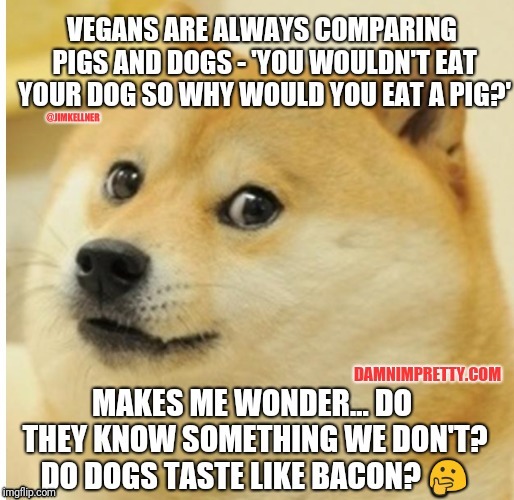 image tagged in vegan dog | made w/ Imgflip meme maker