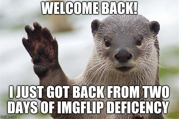 Welcome Back, Otter. | WELCOME BACK! I JUST GOT BACK FROM TWO DAYS OF IMGFLIP DEFICENCY | image tagged in welcome back otter | made w/ Imgflip meme maker