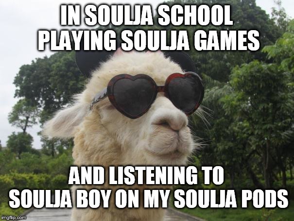 cool llama | IN SOULJA SCHOOL PLAYING SOULJA GAMES AND LISTENING TO SOULJA BOY ON MY SOULJA PODS | image tagged in cool llama | made w/ Imgflip meme maker