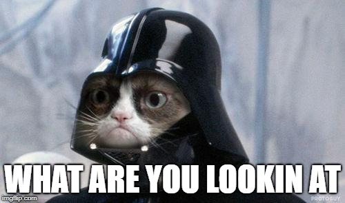 Grumpy Cat Star Wars Meme | WHAT ARE YOU LOOKIN AT | image tagged in memes,grumpy cat star wars,grumpy cat | made w/ Imgflip meme maker