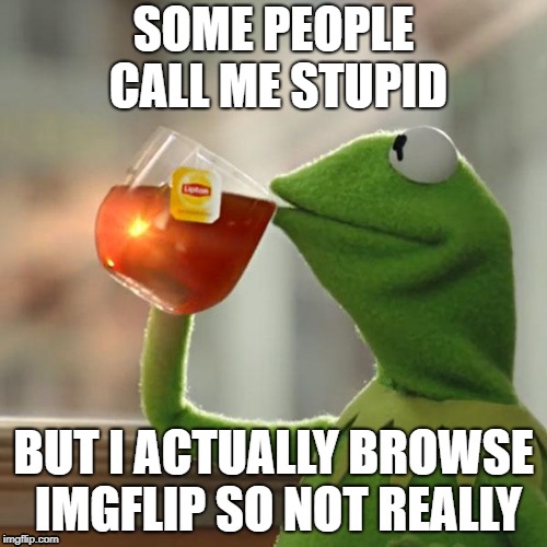 But That's None Of My Business | SOME PEOPLE CALL ME STUPID; BUT I ACTUALLY BROWSE IMGFLIP SO NOT REALLY | image tagged in memes,but thats none of my business,kermit the frog | made w/ Imgflip meme maker