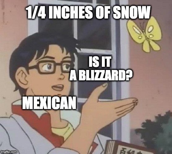 Is This A Pigeon | 1/4 INCHES OF SNOW; IS IT A BLIZZARD? MEXICAN | image tagged in memes,is this a pigeon | made w/ Imgflip meme maker