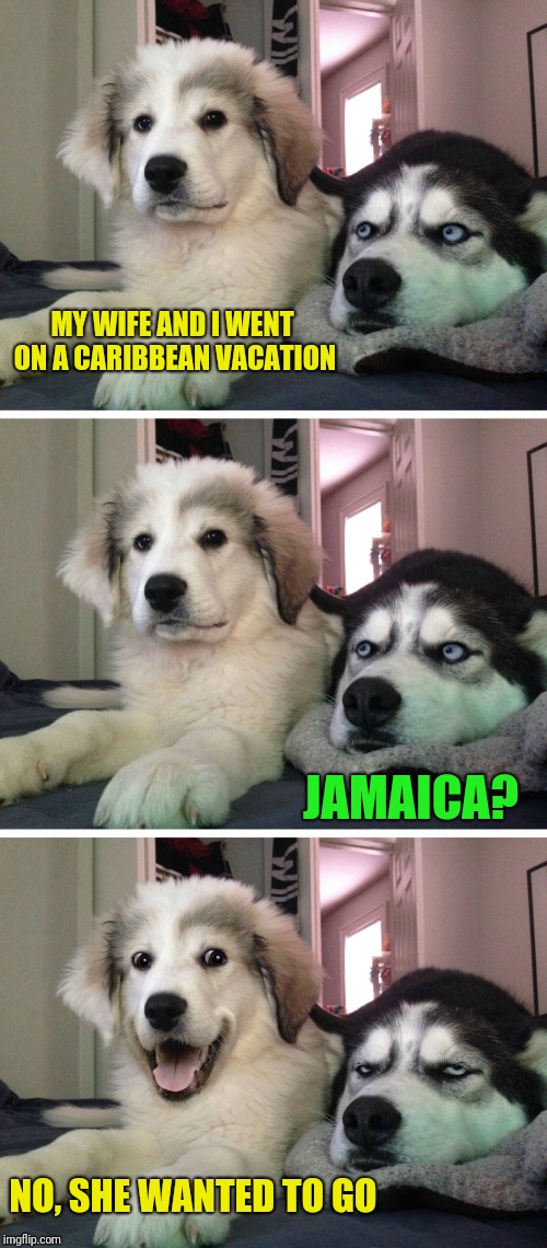another creative title |  MY WIFE AND I WENT ON A CARIBBEAN VACATION; JAMAICA? NO, SHE WANTED TO GO | image tagged in bad pun dogs,memes | made w/ Imgflip meme maker