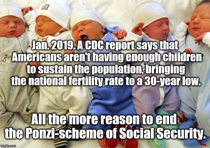 Privatized retirement won't be affected by government shut-downs too. | Jan. 2019. A CDC report says that  Americans aren't having enough children to sustain the population, bringing the national fertility rate to a 30-year low. All the more reason to end the Ponzi-scheme of Social Security. | image tagged in political meme | made w/ Imgflip meme maker