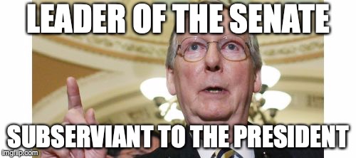 This position is supposed to be a separate branch of government | LEADER OF THE SENATE; SUBSERVIENT TO THE PRESIDENT | image tagged in memes,mitch mcconnell | made w/ Imgflip meme maker