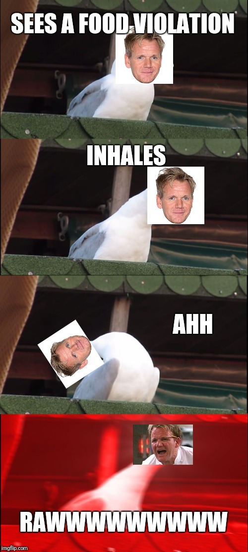Inhaling Seagull | SEES A FOOD VIOLATION; INHALES; AHH; RAWWWWWWWWW | image tagged in memes,inhaling seagull | made w/ Imgflip meme maker