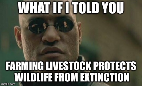 Matrix Morpheus Meme | WHAT IF I TOLD YOU FARMING LIVESTOCK PROTECTS WILDLIFE FROM EXTINCTION | image tagged in memes,matrix morpheus | made w/ Imgflip meme maker