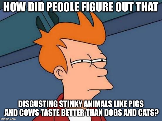 Futurama Fry Meme | HOW DID PEO0LE FIGURE OUT THAT DISGUSTING STINKY ANIMALS LIKE PIGS AND COWS TASTE BETTER THAN DOGS AND CATS? | image tagged in memes,futurama fry | made w/ Imgflip meme maker