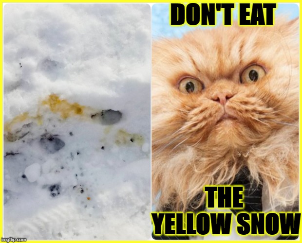 DON'T EAT; THE YELLOW SNOW | image tagged in don't eat it | made w/ Imgflip meme maker