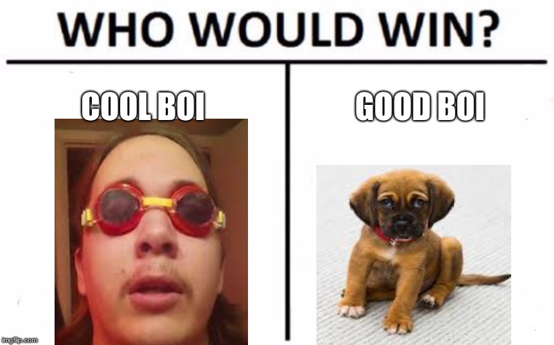 Who Would Win? Meme | COOL BOI; GOOD BOI | image tagged in memes,who would win | made w/ Imgflip meme maker